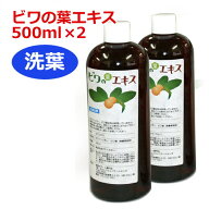 6ケ月以上熟成 無農薬ビワの葉エキス（洗葉）500ml×2本セット 健康サポート専門店オリジナル ※送料無料…