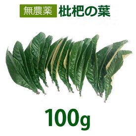 無農薬 枇杷の葉（びわの葉） 100g 【長崎・大分県産】