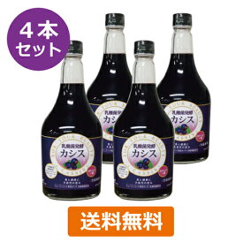 乳酸菌発酵カシス （565ml×4本セット） ※送料無料（一部地域を除く） （発酵カシス）【ジャフマック・飲料】※同梱・キャンセル・ラッピング不可