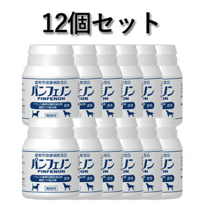 ptFm 16.8gi140mg×120j×12Zbg SyXPANEz