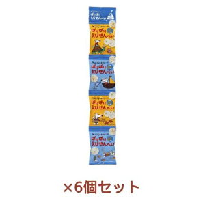 CV[iTMĵɂ ςς肦тׂ i10g×4j×6Zbg ynЁz