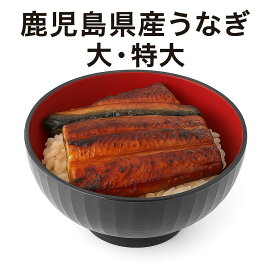 【10％OFFクーポン配布中！】鹿児島県産うなぎ 1尾(約120g) 2尾(約240g) 3尾(約360g) 4尾(約480g) 特大1尾(約200g) 2尾(約400g) 3尾(約600g) 3尾(約800g) タレつき 鹿児島県産 大隅産 鹿児島直送 JAグループ鹿児島から産地直送 生産者直送 うなぎ 鰻 国産