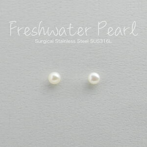 Wp[sAX Vv T[WJXeX t@[XgsAX K18dグ av[g S[h Vo[