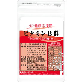 ビタミンB群 1〜12ヶ月分 サプリメント 健康応援団 サプリ