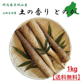 楽天市場 山芋 自然薯 産地 都道府県 群馬 その他野菜 野菜 きのこ 食品の通販
