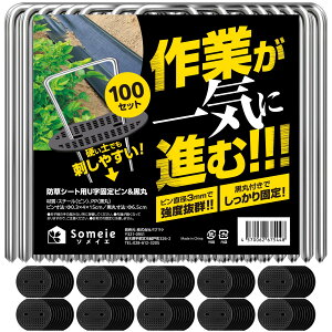 hV[g s UsY  y100{ZbgzŒs ƒ؉  G΍ ߋ ڂV[g ~߃s K[fjO  ubN h  ϋv ȒP G΍ someie