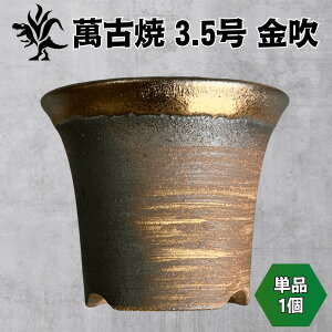 Kaiju Plant ݌Ï 3.5 픫 bp AKx   p o Pi