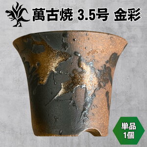 Kaiju Plant �݌Ï� 3.5�� ���픫 ���b�p �A�K�x ���� �� �p �o������ �P�i