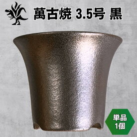 Kaiju Plant 萬古焼 3.5号 陶器鉢 ラッパ アガベ 多肉 塊根 用 バラ売り 単品