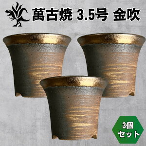 Kaiju Plant ݌Ï 3.5 픫 bp AKx   p 3Zbg