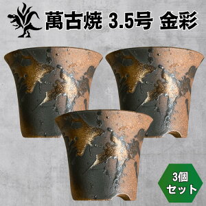 Kaiju Plant ݌Ï 3.5 픫 bp AKx   p 3Zbg