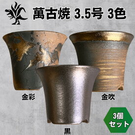 Kaiju Plant 萬古焼 3.5号 陶器鉢 ラッパ アガベ 多肉 塊根 用 3鉢セット