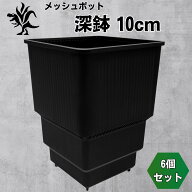 Kaiiju Plant メッシュポット サークリングしない プラ鉢 アガベ 多肉 サボテン用 排水 速乾 6個セット (…