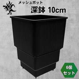 Kaiiju Plant メッシュポット サークリングしない プラ鉢 アガベ 多肉 サボテン用 排水 速乾 6個セット (深鉢 10cm)