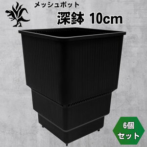 Kaiiju Plant bV|bg T[NOȂ v AKx  T{ep r  6Zbg ([ 10cm)