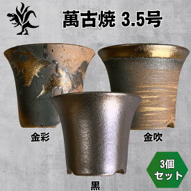 Kaiju Plant 萬古焼 3.5号 陶器鉢 ラッパ アガベ 多肉 塊根 用 3鉢セット