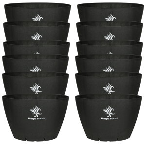 Kaiju Plant ���b�|�b�gEco6.5 �X���b�g�� 6.5�� �����Đ��v���� �A�ؔ� �A�K�x �� �T�{�e�� �u���b�N �O���[ �u���E�� ���S ���n 1�� 6�� 12��