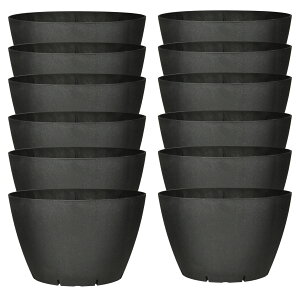 Kaiju Plant b|bgEco6.5 Xbg 6.5 Đv Aؔ AKx  T{e ubN O[ uE S n 1 6 12