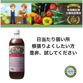 EM3号 em EM EM生活 微生物 栽培 野菜 水質 土作り 活性液 ガーデニング 家庭菜園 無農薬 有機栽培 em菌