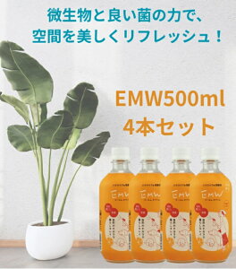 y1129`121܂Ōv[gtzEMW4{Zbg ybgp L L }`N[i[ ړI Lb` \ N[i[  gC C y VbNnEX΍ EB