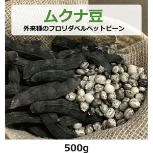 ムクナ豆(外来種のフロリダベルベットビーン) 500g 【ゆうパケット送料無料】 【健康サポート農園】無農薬・無化学肥料・無除草剤 自社農園 大阪産 ムクナ Mucuna FLV むくな豆 ドーパミン L