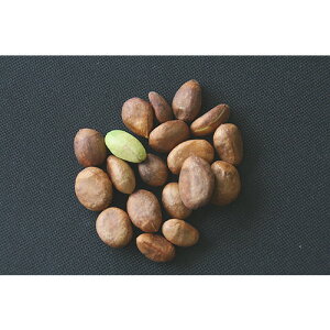 yʔNN[ցzfiтj̎ Ⓚi1kgjEtY