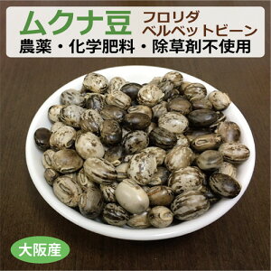 大阪産 生ムクナ豆 300g 無農薬 無化学肥料 無除草剤 フロリダベルベットビーン ※ゆうパケット送料無料 【健康サポート農園】 自社農園 ムクナ Mucuna むくな豆 ドーパミン Lドーパ l-dopa レボ