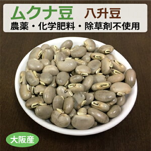 Y Ni 300g inbVE}j䂤pPbg yNT|[g_z_Ew엿E Д_ Ni Mucuna ނȓ h[p~ Lh[p l-dopa 