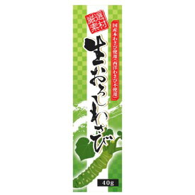 【お買上特典】生おろしわさび（チューブ） （40g） 【東京フード】
