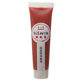 楽天市場 梅ねり ダイエット 健康 の通販 楽天市場 梅ねり ダイエット 健康 の通販