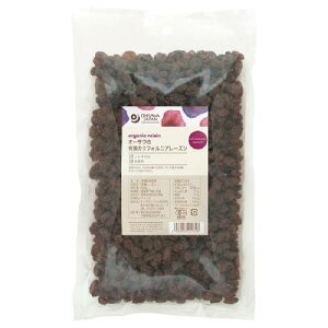 yTzI[T̗L@JtHjA[Y i500gj yI[TWpz