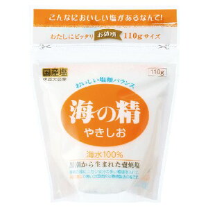 yTzC̐ ₫ i110gj yC̐z