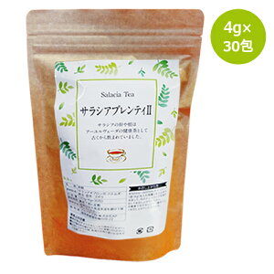 TVAueBII 1܁i4g×30j yAt@\tgz