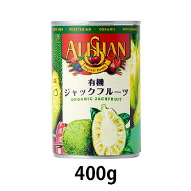 ジャックフルーツ缶詰 400g【CBL Natural Foods（スリランカ）】