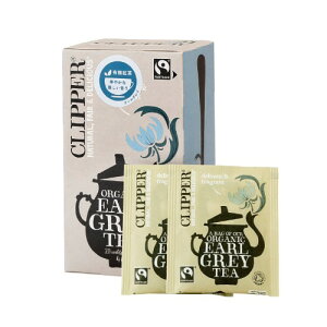 I[KjbNtFAg[heB[ A[OC 40gi20Pj yNbp[z