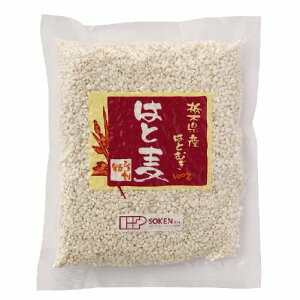 Y͂ƔiЂji220gj ynЁz