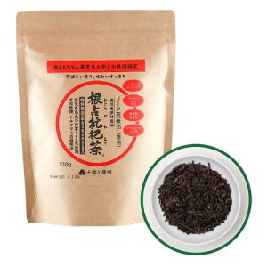 f tiϏop 120gjmJtFCy䂤pPbgzi˂߂т풃ŃpbN肨jy\Ð_z