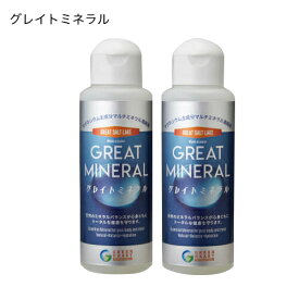 グレイトミネラル 100ml×2本セット ※送料無料（一部地域を除く）グリーンハート・インターナショナル