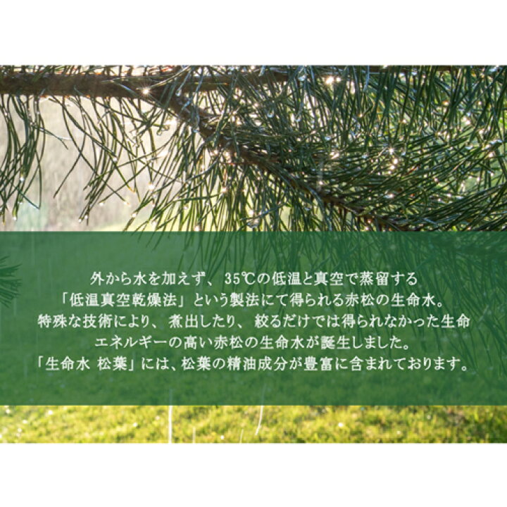 楽天市場】ライフウォーター 松葉 100ml 【正規販売代理店 
