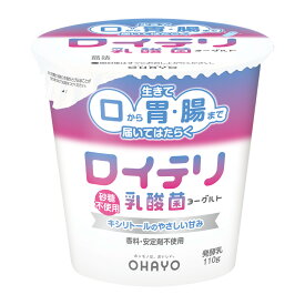 オハヨー乳業 ロイテリ乳酸菌ヨーグルト 110g 8個×2ケース