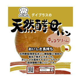 デイプラス 天然酵母パン あんいり チョコクリーム 12個 【1個あたり167円】