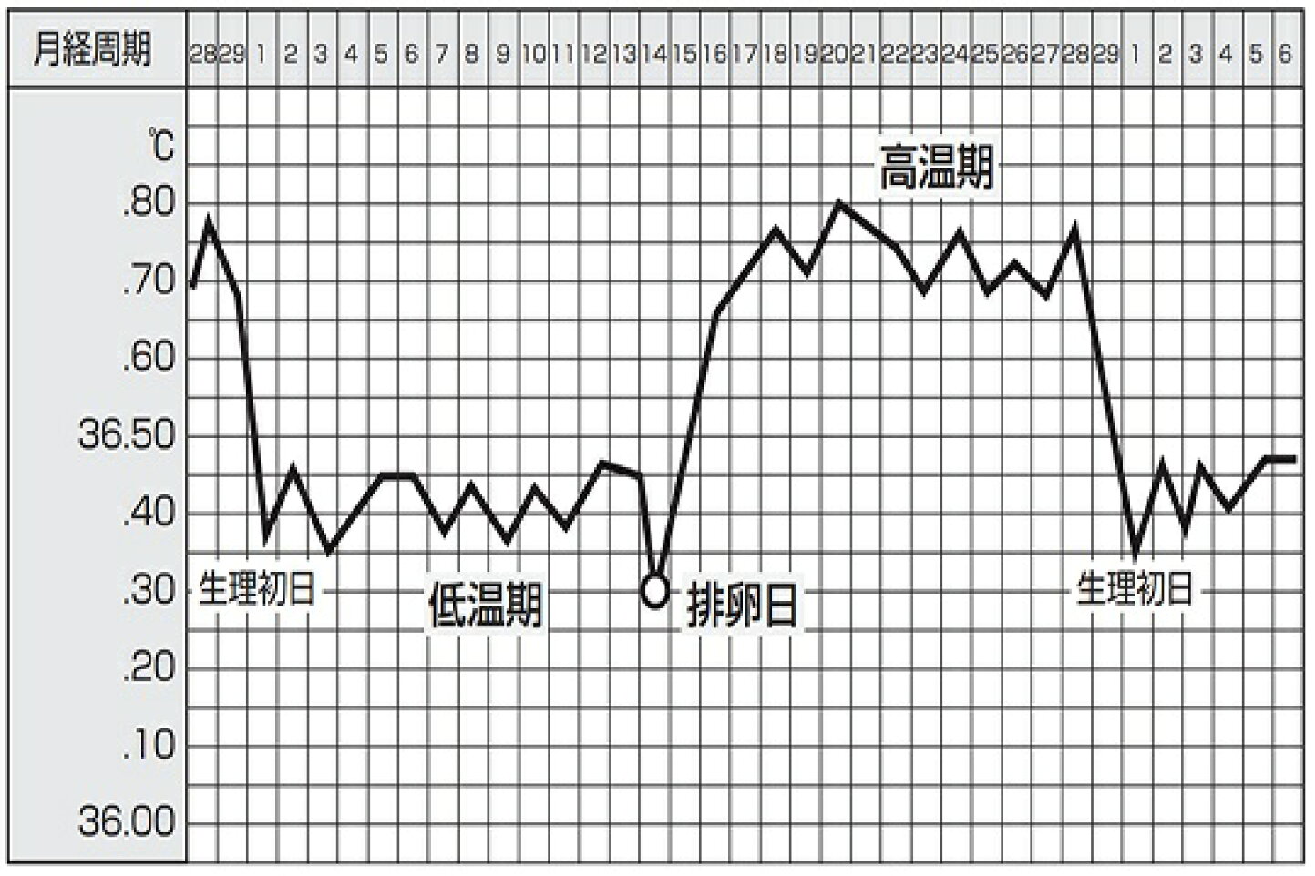 基礎 体温 いつ 測る