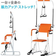 健康器具 マルチホームトレーナー YMHT-250 ヤマトヒューマン 高齢者 運動器具 座ったまま 機能訓練 ぶら…