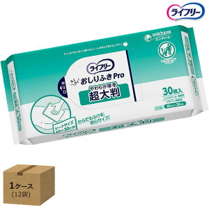 G݁Expi Ct[ 炭炭ӂPro 炩蒴唻 301×12 jE`[ Ɩp炳炩炾ӂ  pi