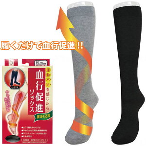 C ͂炭 si\bNX  { F792-975-22-60 F792-975-24-60 F792-975-26-60  ނ݌y ₦P ߗi