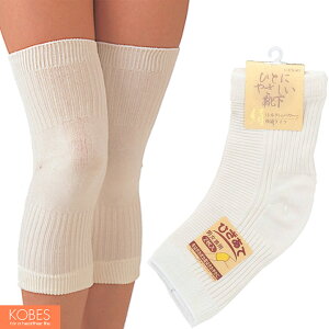 T|[^[ VNЂ 2g ЂT|[^[ ߗi RxX _ːN 8020