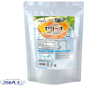 HEoPA [[i \tg^Cv 400g H⏕ EGn[j[