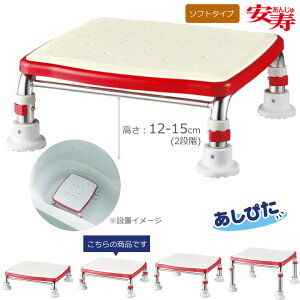  XeXR \tg^Cv W^Cv 12cm-15cm(2iK) A ҂