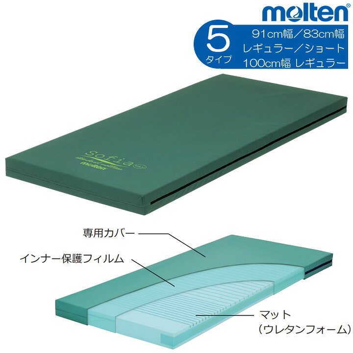 楽天市場】介護ベッド ソフィア 防水・清拭タイプ 標準マットレス 