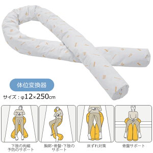 pNbV { |WVjO s[NbV 12×250cm i{bhj ̈ʕϊ P[v RM5